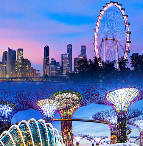 싱가포르 마리나베이 플라이어 (관람차) 가든스바이더베이 입장권 티켓 (2개돔) 