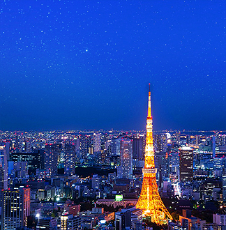 도쿄 타워 전망대 티켓 입장권