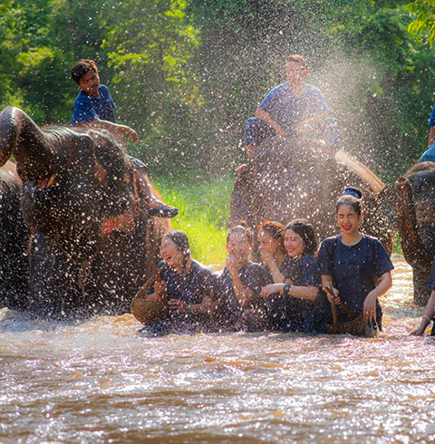태국 치앙마이여행 허그창 코끼리 + 카렌족마을 반나절 투어 (픽업/샌딩 포함)
