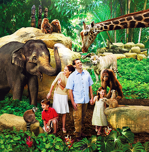 싱가포르 만다이파크 동물원 + 트램 티켓 