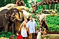 싱가포르 동물원 + 트램 입장권 (날짜지정)